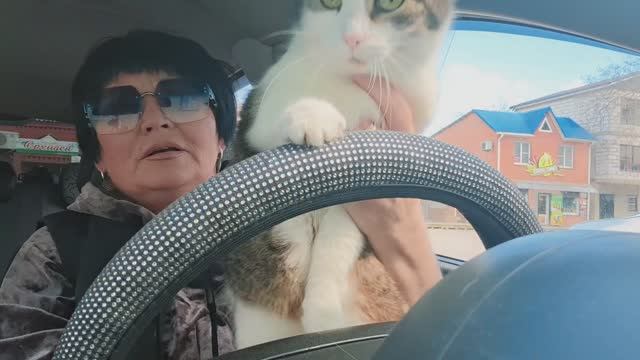 Переезжаем к папе / это увлекательный был аттракцион🫣