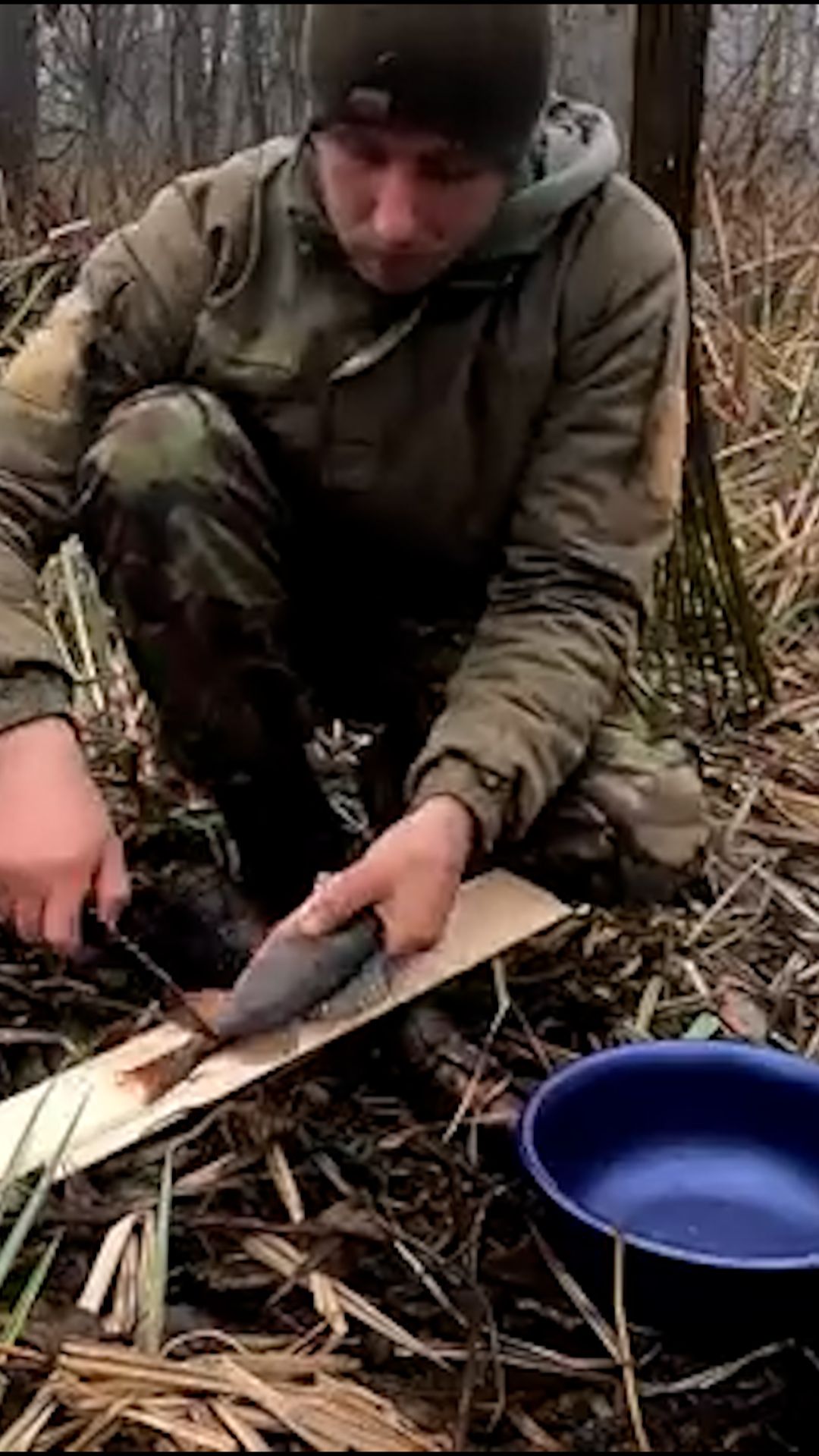 Ещё один день в чудесном лесу