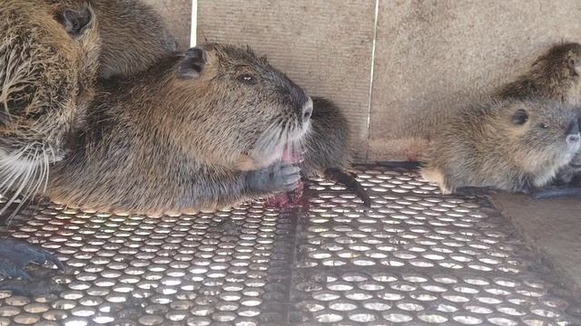 Спасибо девочки