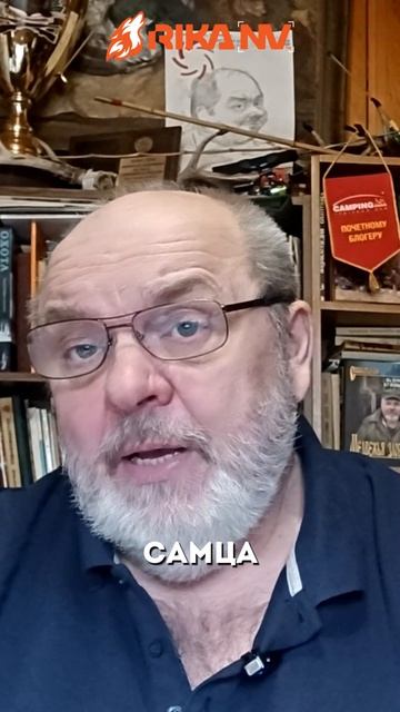 В. П. Кузенков специально для RikaNV: Каких птиц можно стрелять весной