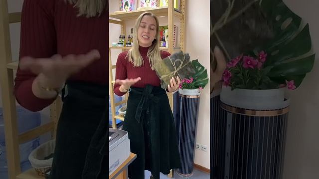 Про ламинарию