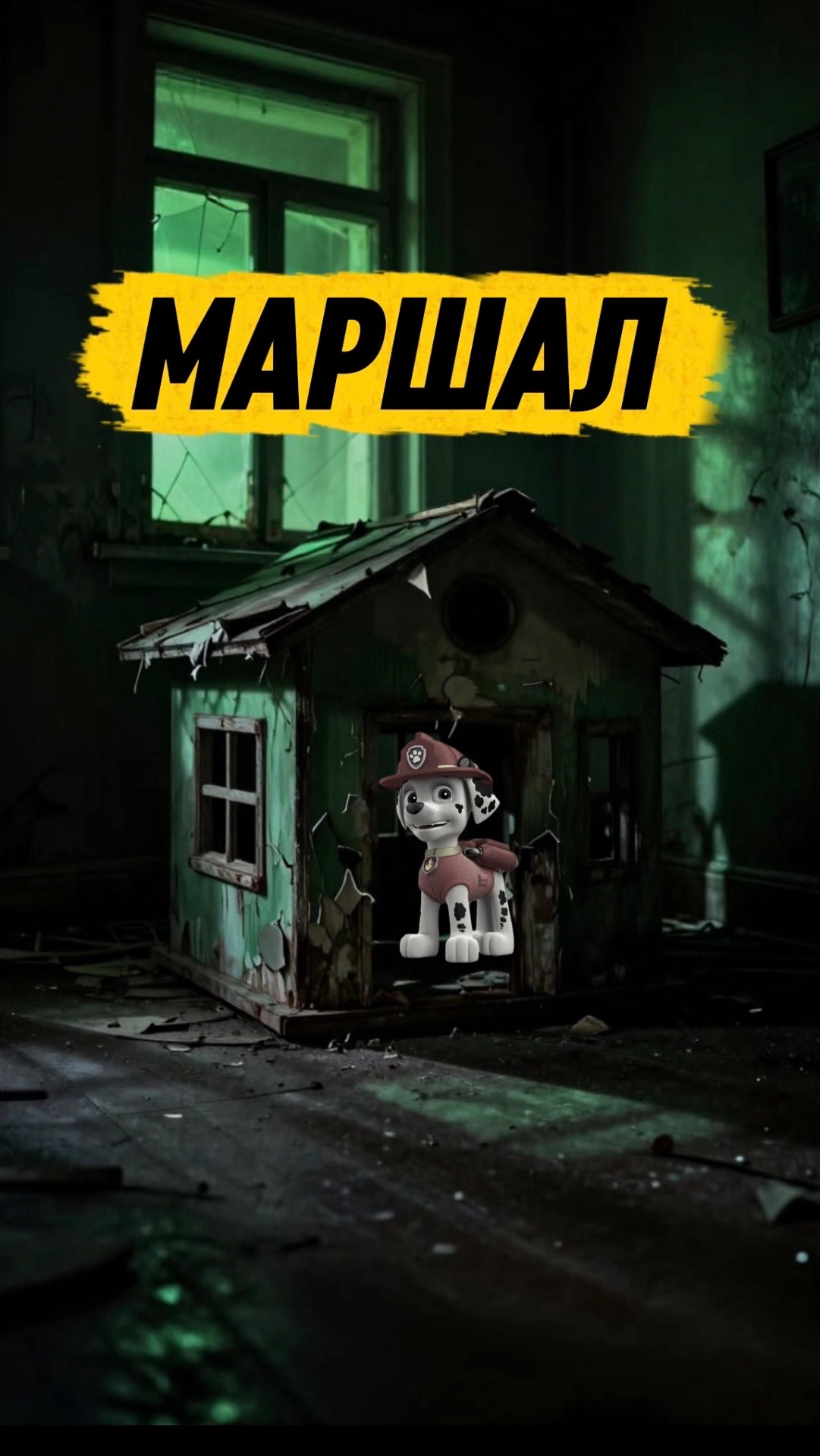 МАРШАЛ ПОПАЛ В БЕДУ 🙀 #кот #кошка #котики #животные #маршал #щенячийпатруль