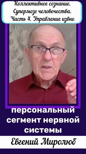 У каждого муравья есть персональная часть мозга и часть общего мозга муравейника