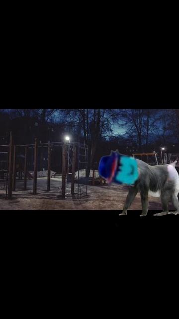 крутые видео 34