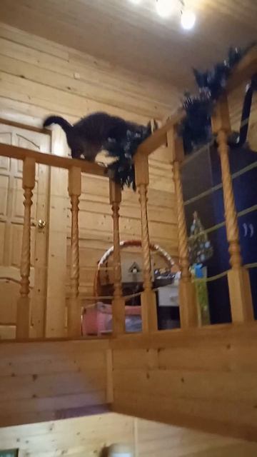 Ну зачем эти гирлянды?