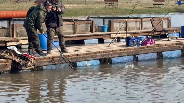 Поимки форели !!!