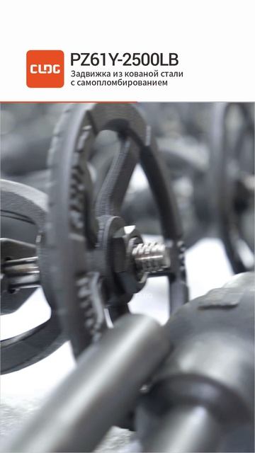 PZ61Y-2500LB Задвижка из кованой стали с самопломбированием-CLDG