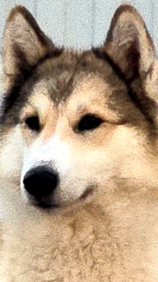 Забрал с работы