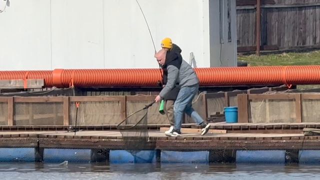 Поимки форели !!!