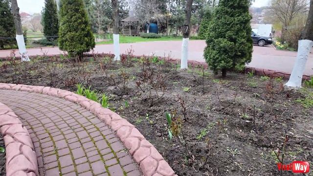 D9d211c5e86b316f5ead8ecf3ed6d983