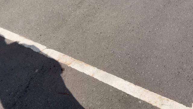 IMG_2117 церато