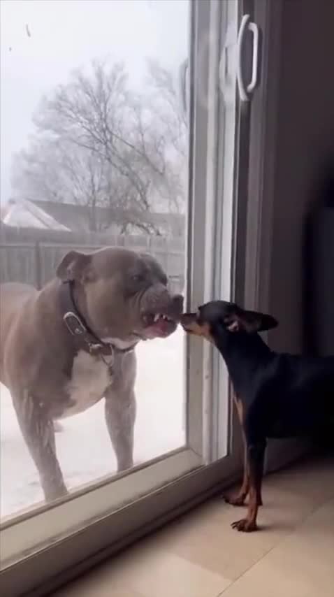 Такoй подставы не Oжидали оба