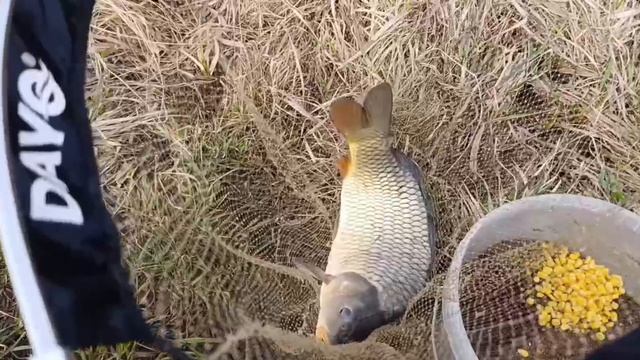 VID_20260413_220005_758