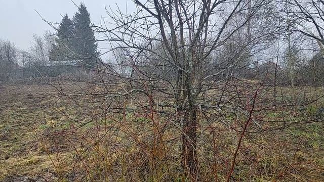 ЗУ:1470 д.Новое