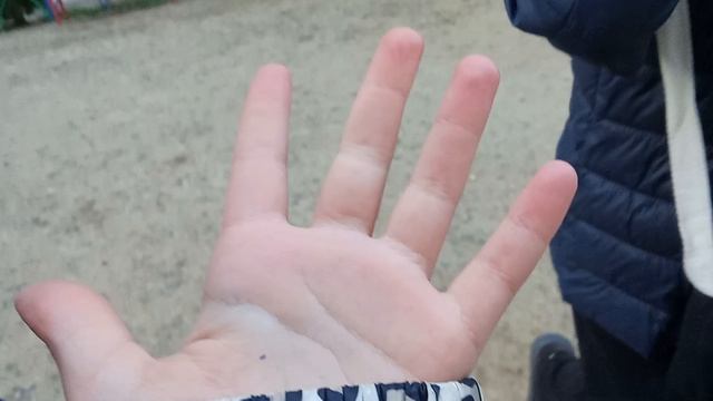 Гуляем с Васей Басей часть 2)))✨✨