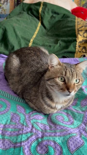 9710a85d873d83ae31d46499c60c53ef