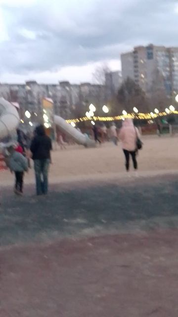 сиба-ину -вечерний Воронеж