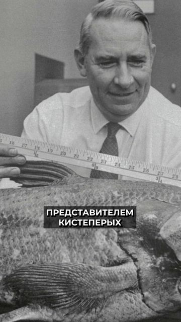🤔 Самая древняя рыба, дожившая до наших дней