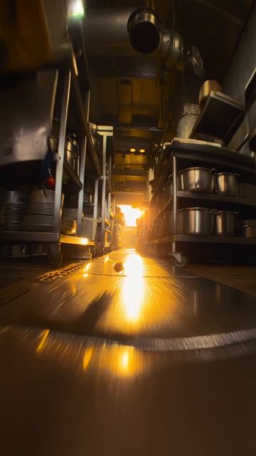 Погоня.Погоня пчелы за мухой.Сделано в #Seedance 2.0#Grok Imagine#фильмы#видео#ежедневно#подпишись