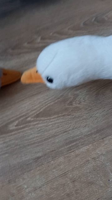 анекдот от гуся