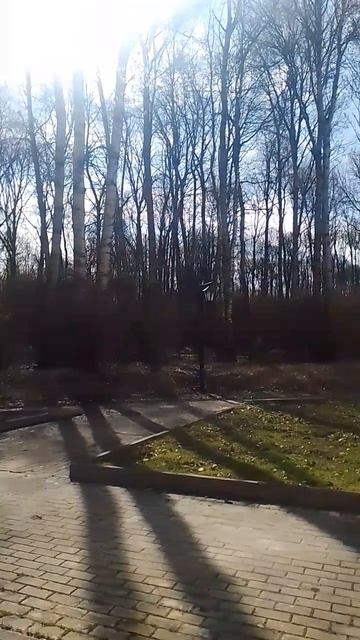 Возле парка в Калуге