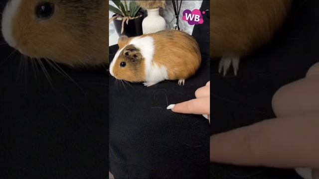 ТОП 8 МОИХ НЕОБЫЧНЫХ НАХОДОК ДЛЯ КАЖДОГО ДОМА