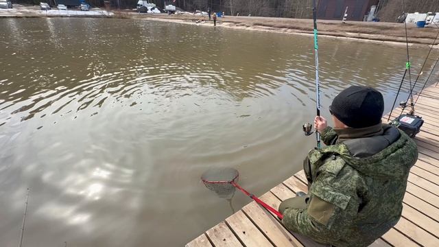 Поимки форели !!!