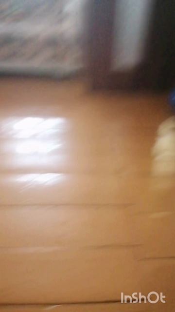 InShot_20260413_145129199.mp4