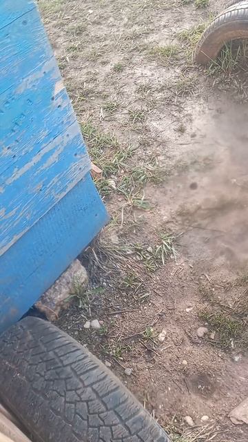 VID_20260413_182327.mp4