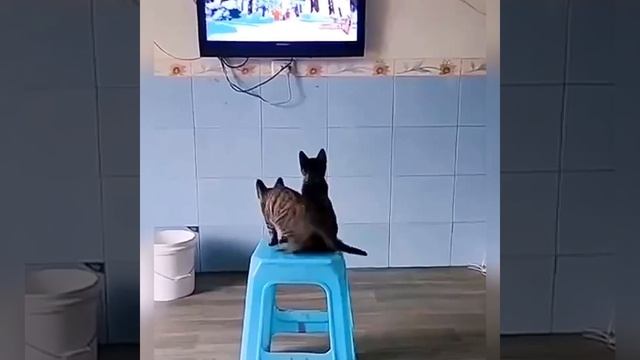 Давай мультики смотреть