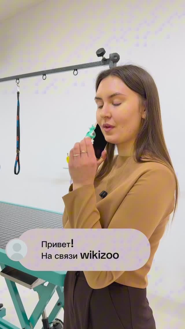 Стол для груминга с розетками и органайзером