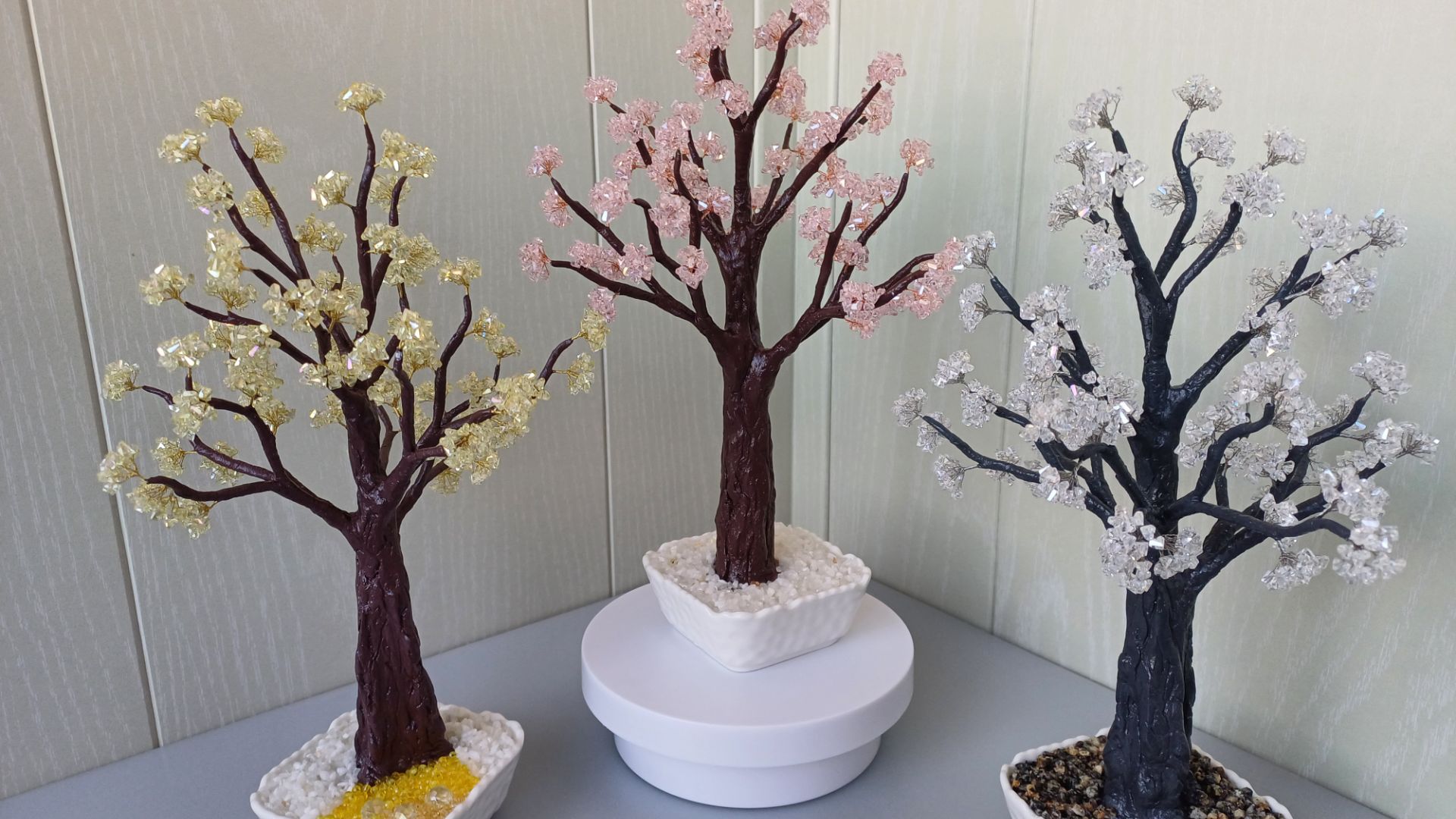 Настольные деревья, ловцы солнца (комнатные, садовые). Https://t.me/minigardenZ