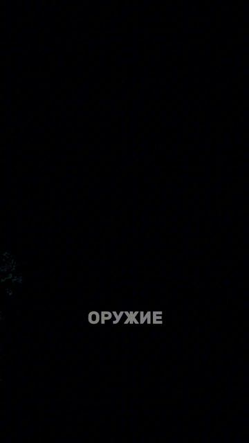 СПАС ГРАД ПОИСК ПРОПАВШИХ ДЕТЕЙ.mp4