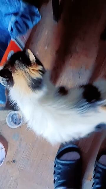 Как обещала 😏