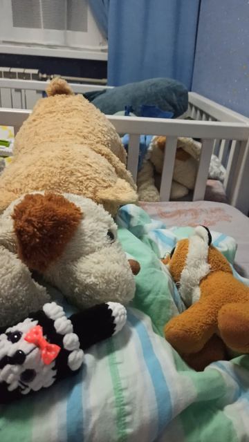 Дракончикавая и Килия ссорится за границы