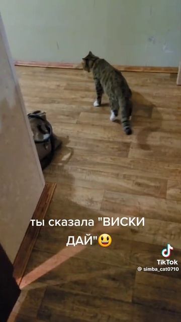 Вискас епта