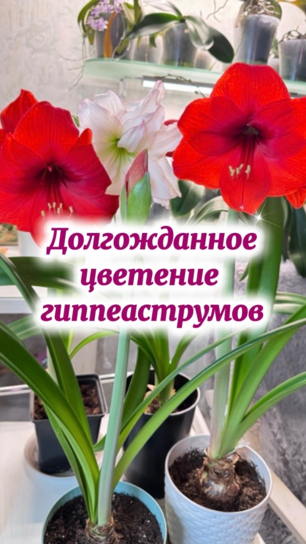 A93f47bd148aa409054d9cd6d6d3f9de