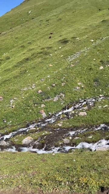 Красота Тянь-Шаня