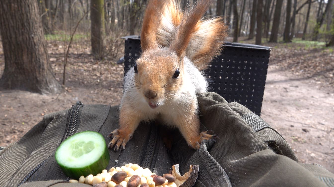 Немного о Копии Копии. Зарисовка
