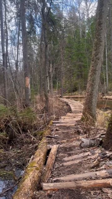 #эндуро сборы 🏍️