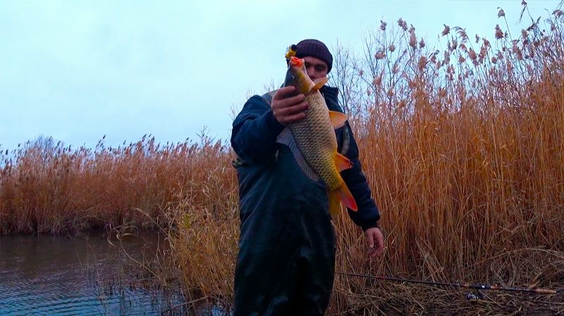 САЗАН,КАРАСИ И КРУПНАЯ ТАРАНЬ !!!отлично порыбачил