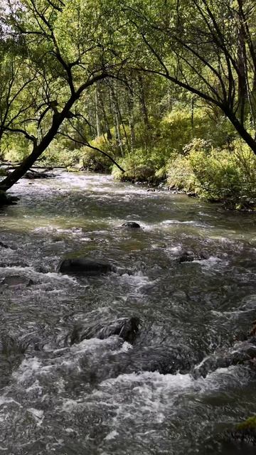 Видеограф в Абакане