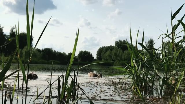 Развод в 60 лет. Моя новая жизнь