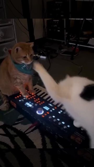 Пишем дарк эмбиент