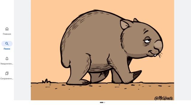 вомбат какает  анимация