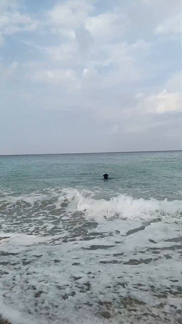 Video.Guru_20240817_170957542