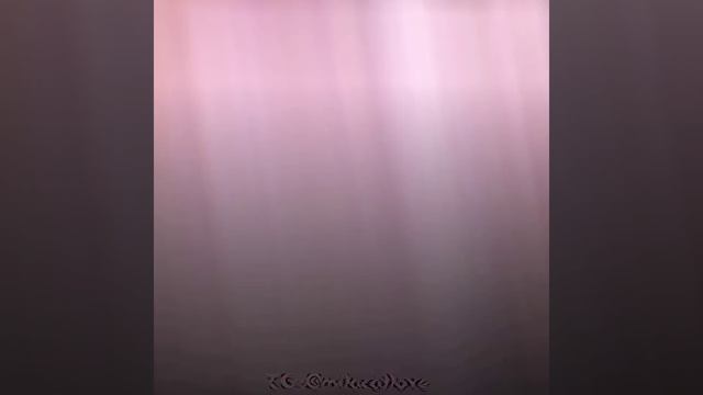 Star detective precure-кюа аркана шэдоу