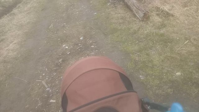 прогулка с реборном Энеем и подругой