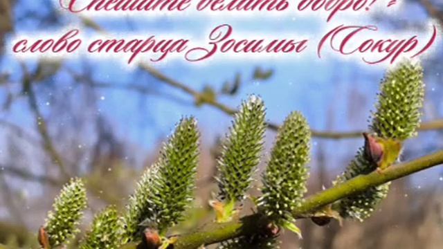 Спешите делать добро! - слово старца Зосимы (Сокур)