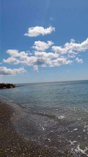 ДЖУБГА Молчанова пляж 12.04.2026